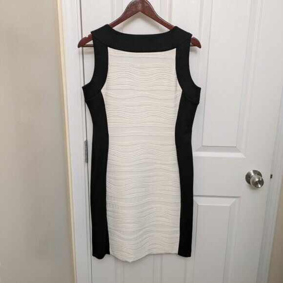Sleeveless Jessica Dress Size 8 - Like New - Picture 2 of 3